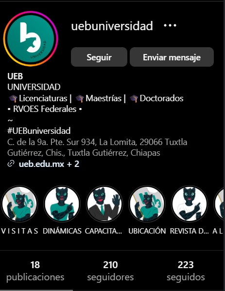 Instagram UEB