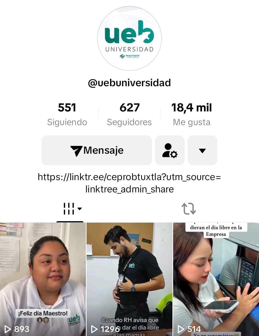 TikTok UEB