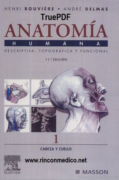 Anatomía Humana: Descriptiva, Topográfica y Funcional
