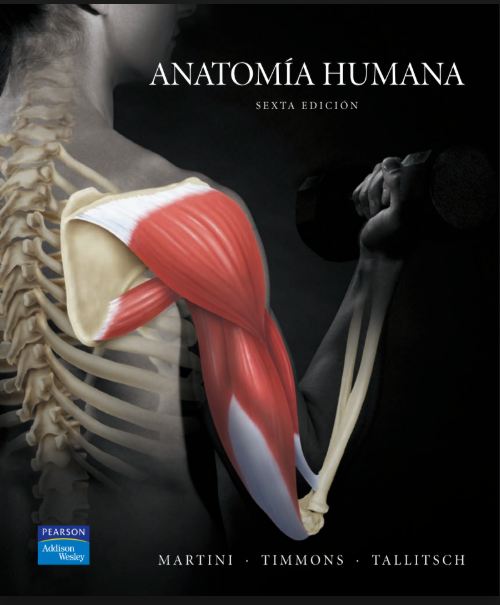 Anatomía humana  Sexta Edición