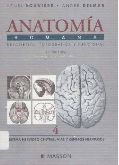 ANATOMÍA HUMANA TOMO 4 ROUVIERE Y DELMAS